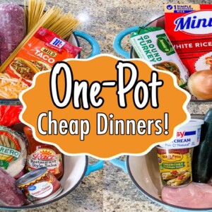 ONE POT MEALS | 5 Quick & EASY Cheap Dinner Ideas | Julia Pacheco