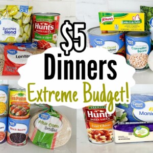 $5 DINNERS | FIVE Quick Cheap Meal Ideas Made EASY! | $25 Grocery Budget | Julia Pacheco