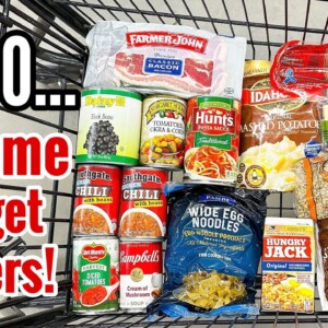 DOLLAR TREE DINNERS | Week of Meals for $25 | Quick & EASY Cheap Recipes | Julia Pacheco